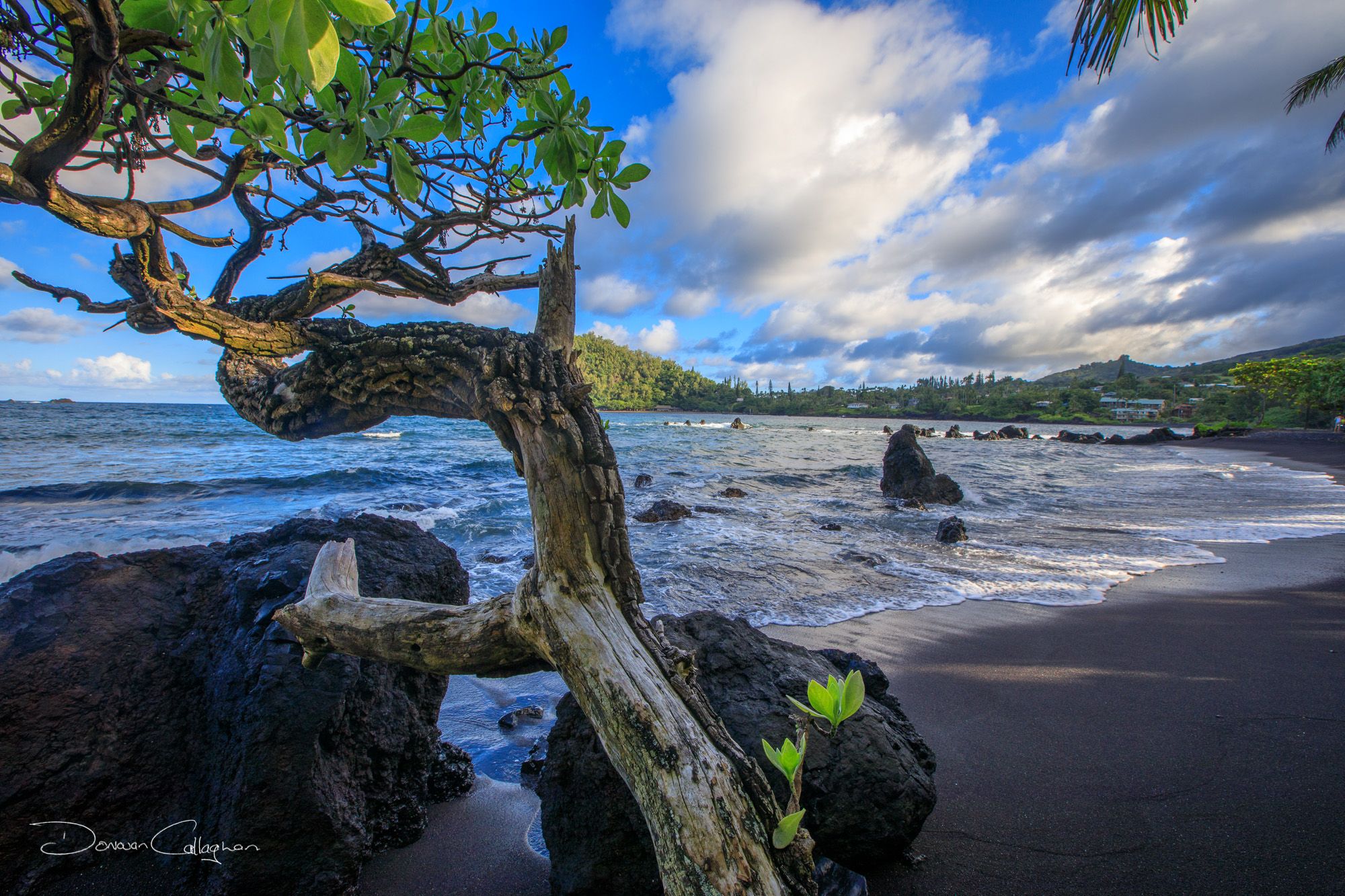 Hana Beach black sand, USA