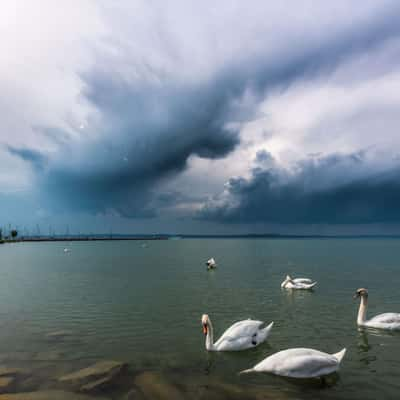 Harbour, Hungary