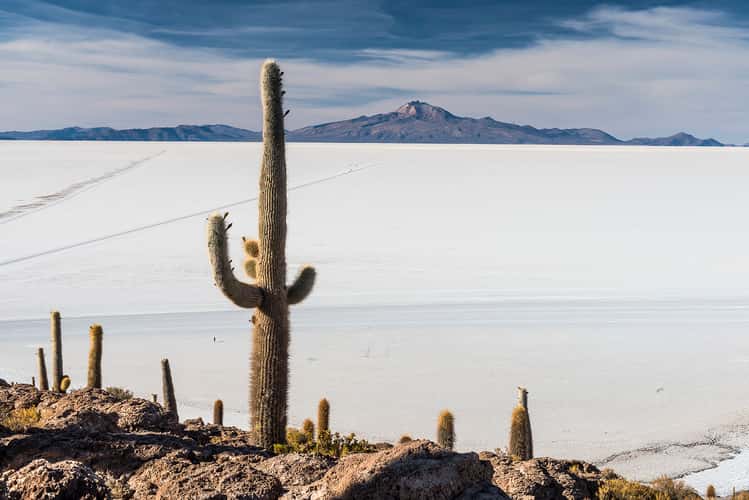 Isla Incahuasi