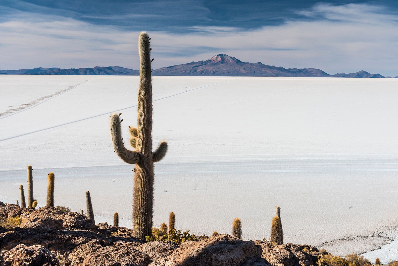 Isla Incahuasi, Bolivia