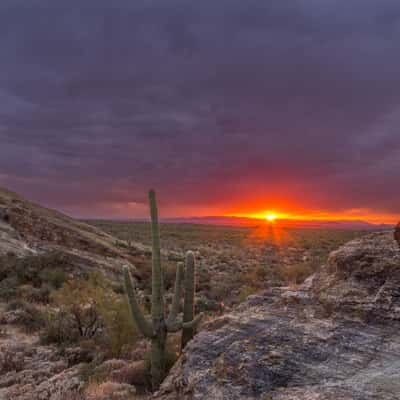 Javelina Rocks, USA