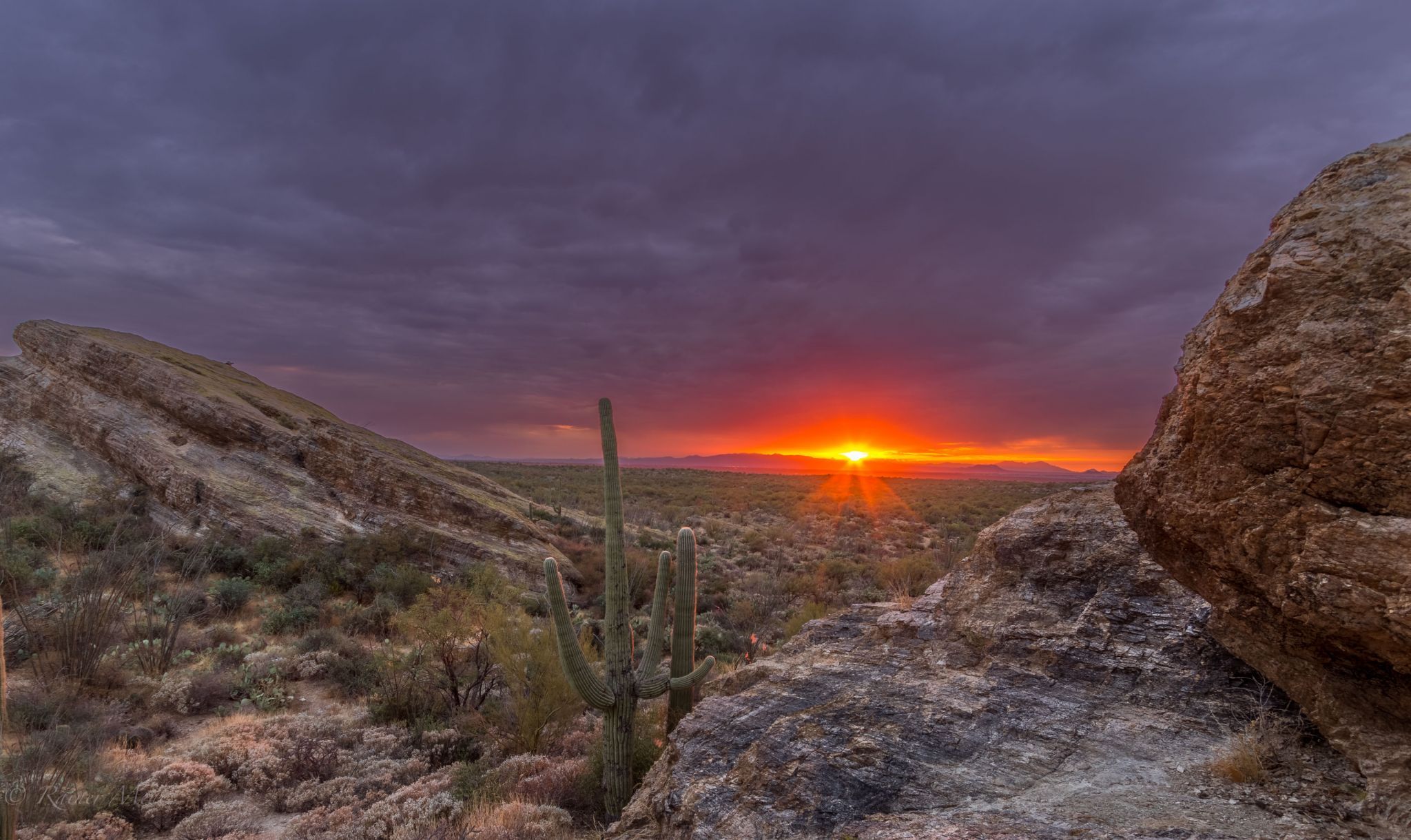 Javelina Rocks, USA