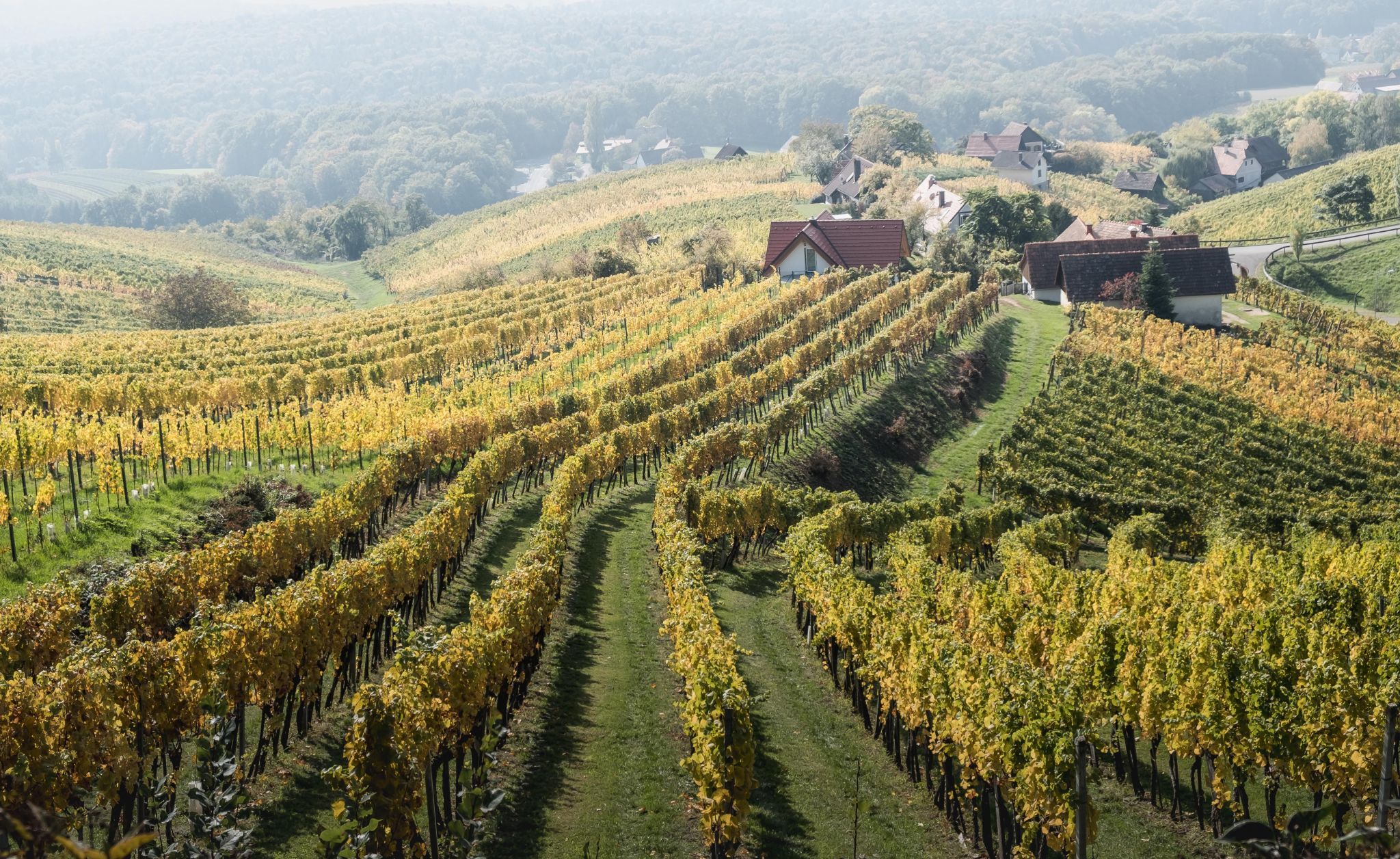 Klöcher Weinstraße, Austria