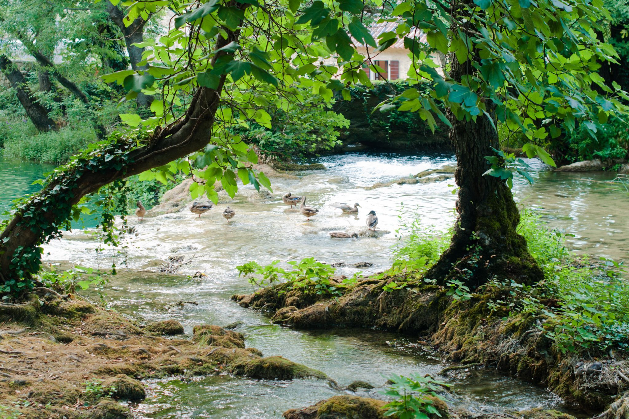 KRKA, Croatia