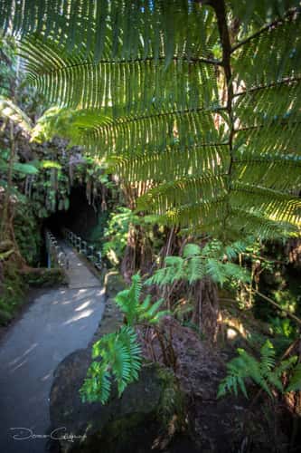 Lava Tube Cave Big Island Hawaii