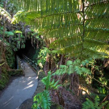 Lava Tube Cave Big Island Hawaii, USA