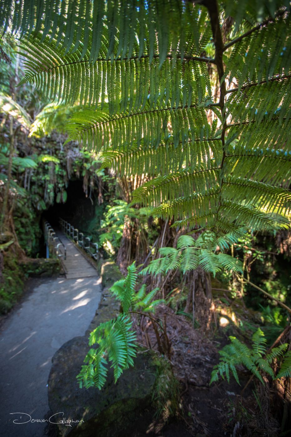 Lava Tube Cave Big Island Hawaii, USA