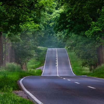 Lonely Road, Germany