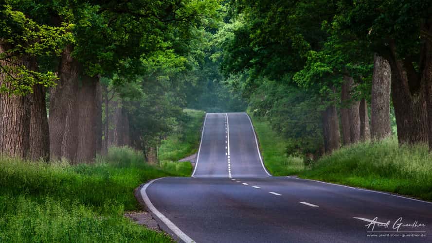Lonely Road