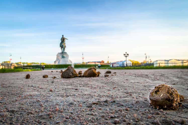 Monument to Peter the great bronze Horseman St Petersburg