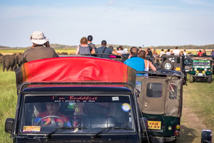 More Jeeps than Elephants Sri lanka