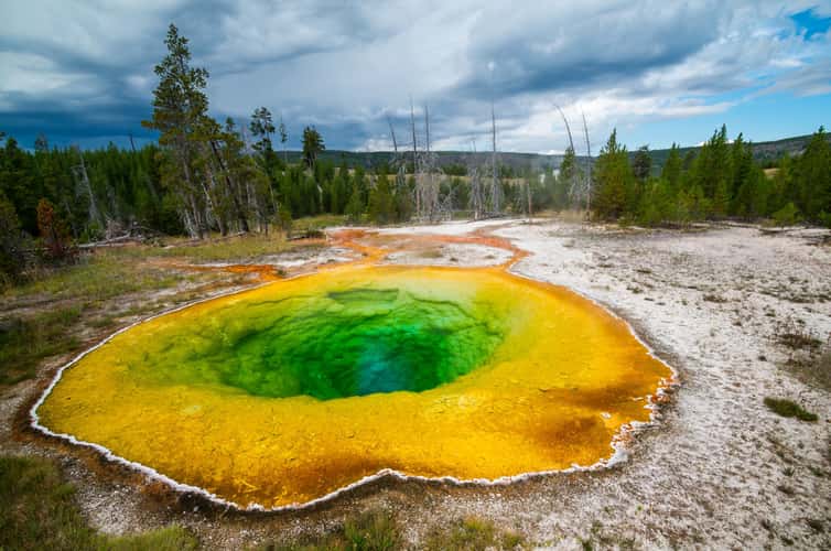 Morning Glory Pool, Yellowstone National Park