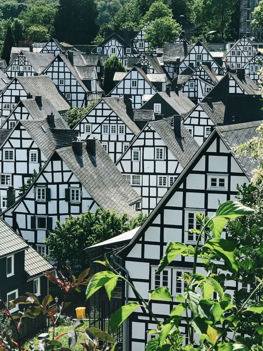 'Old spot', Freudenberg, Germany