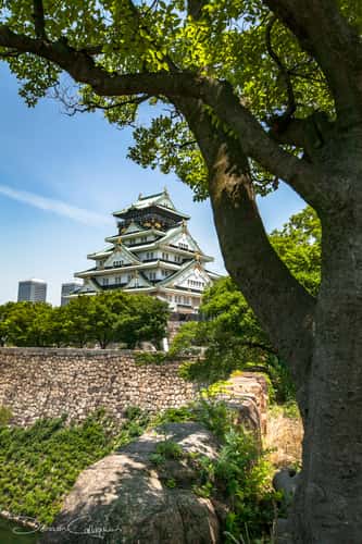 Osaka Castle