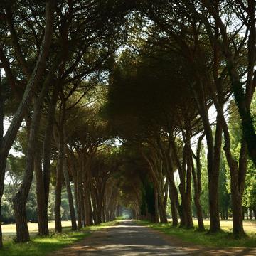 Park Parco naturale Migliarino San Rossore Massaciuccoli, Italy