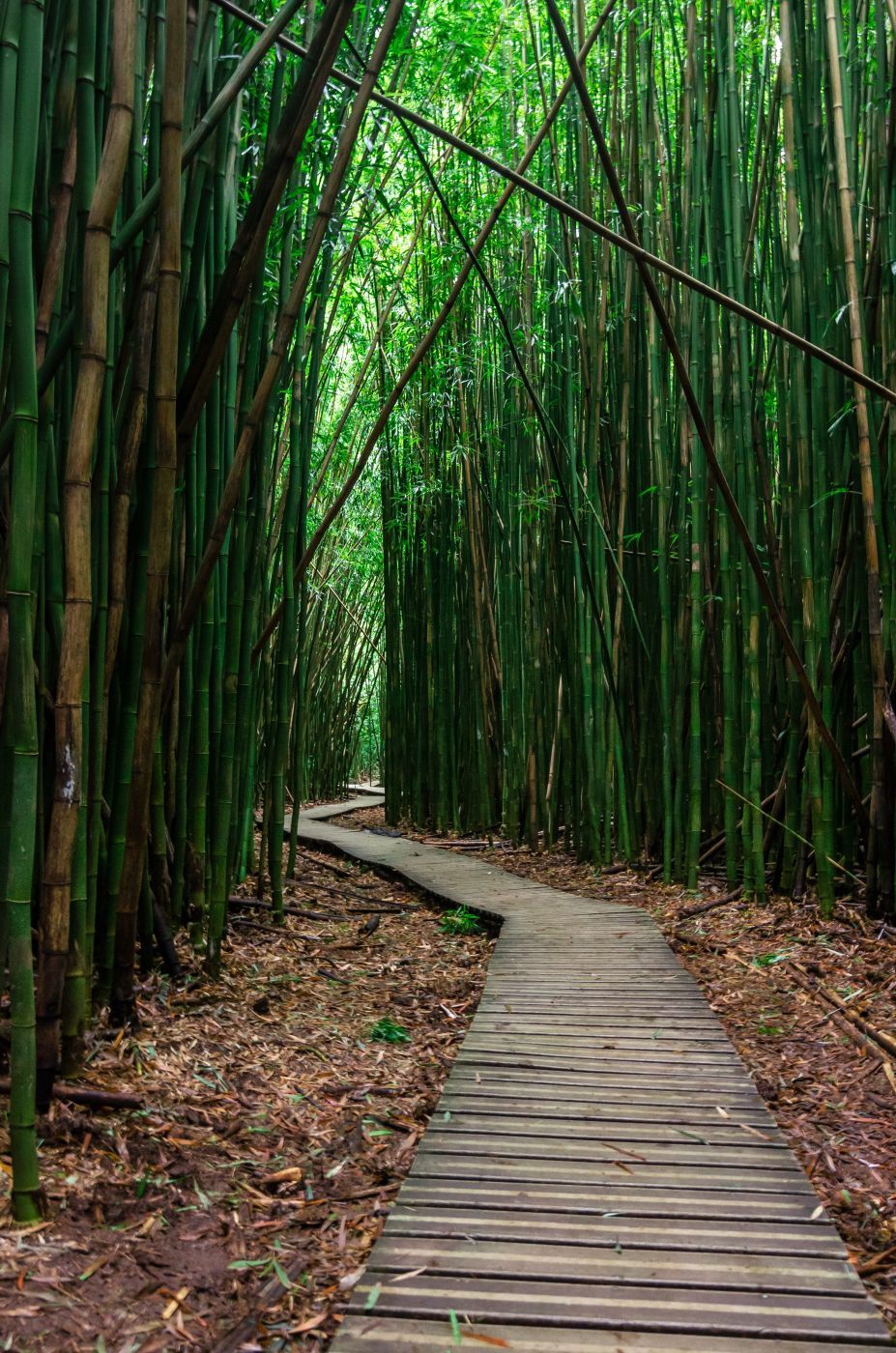 Pipiwai Trail, USA