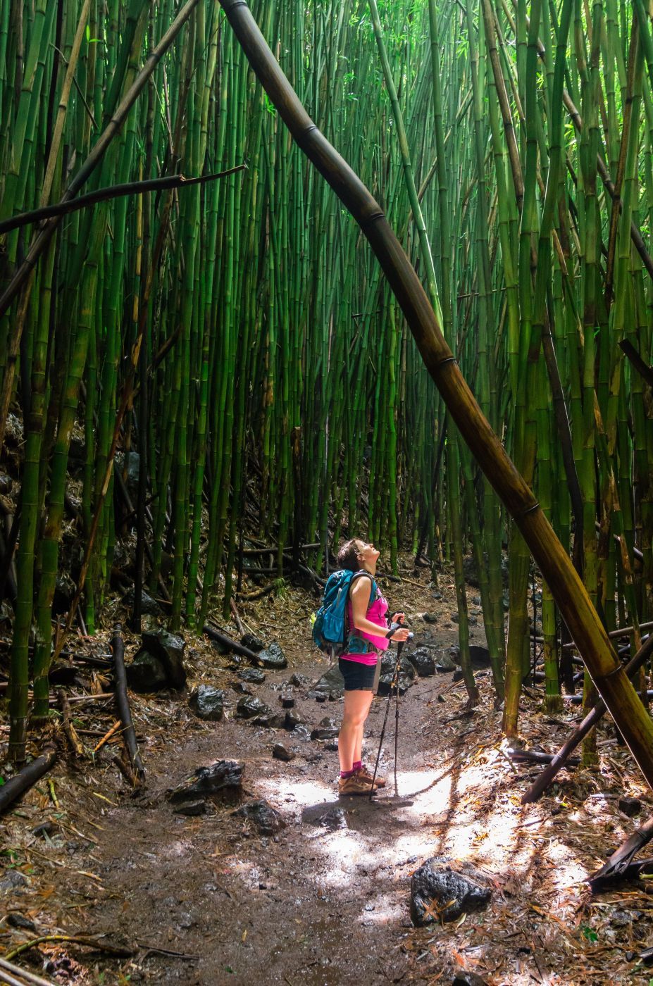 Pipiwai Trail, USA