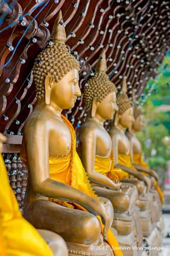 Seema Malaka At The Gangaramaya Temple