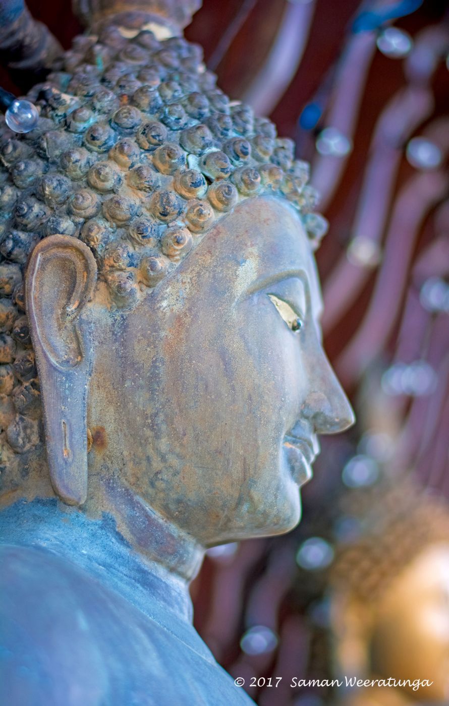 Seema Malaka At The Gangaramaya Temple, Sri Lanka