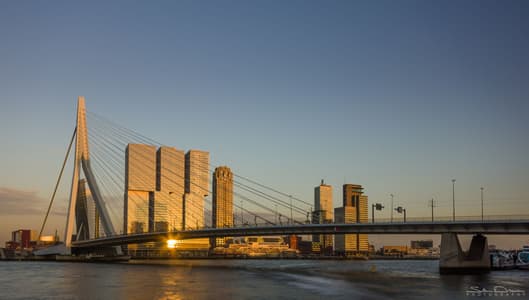 Skyline Rotterdam