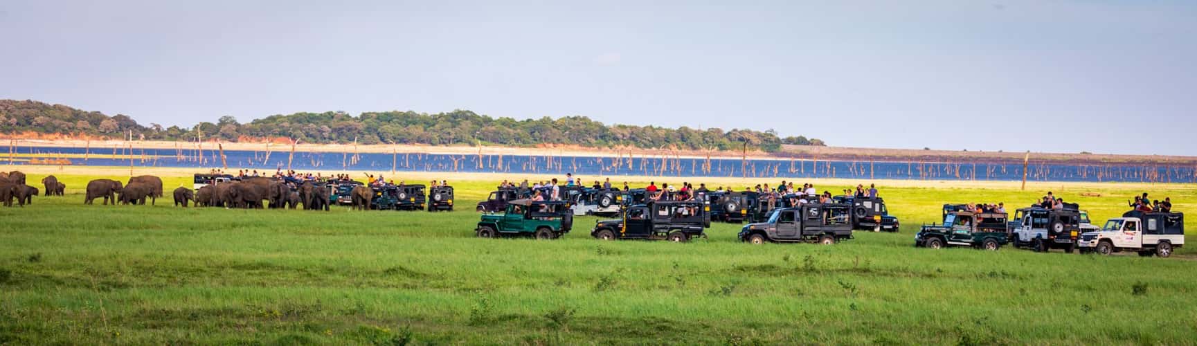 Sri Lanka more Jeeps than Elephants