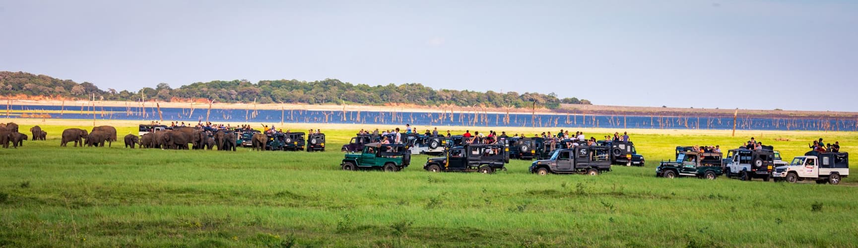Sri Lanka more Jeeps than Elephants
