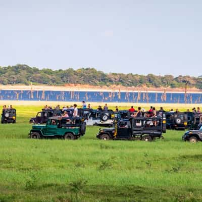 Sri Lanka more Jeeps than Elephants, Sri Lanka