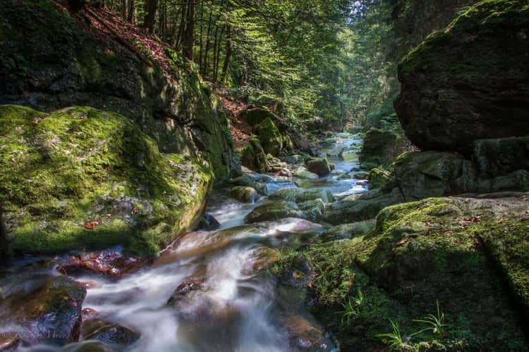 Steinklamm