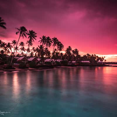 Sunrise coconut palms Samoa, Samoa