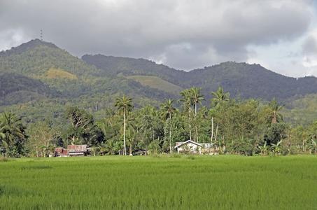 Tabonuk near Dagohoy