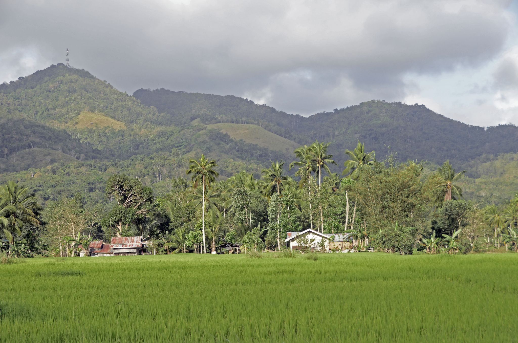 Tabonuk near Dagohoy, Philippines