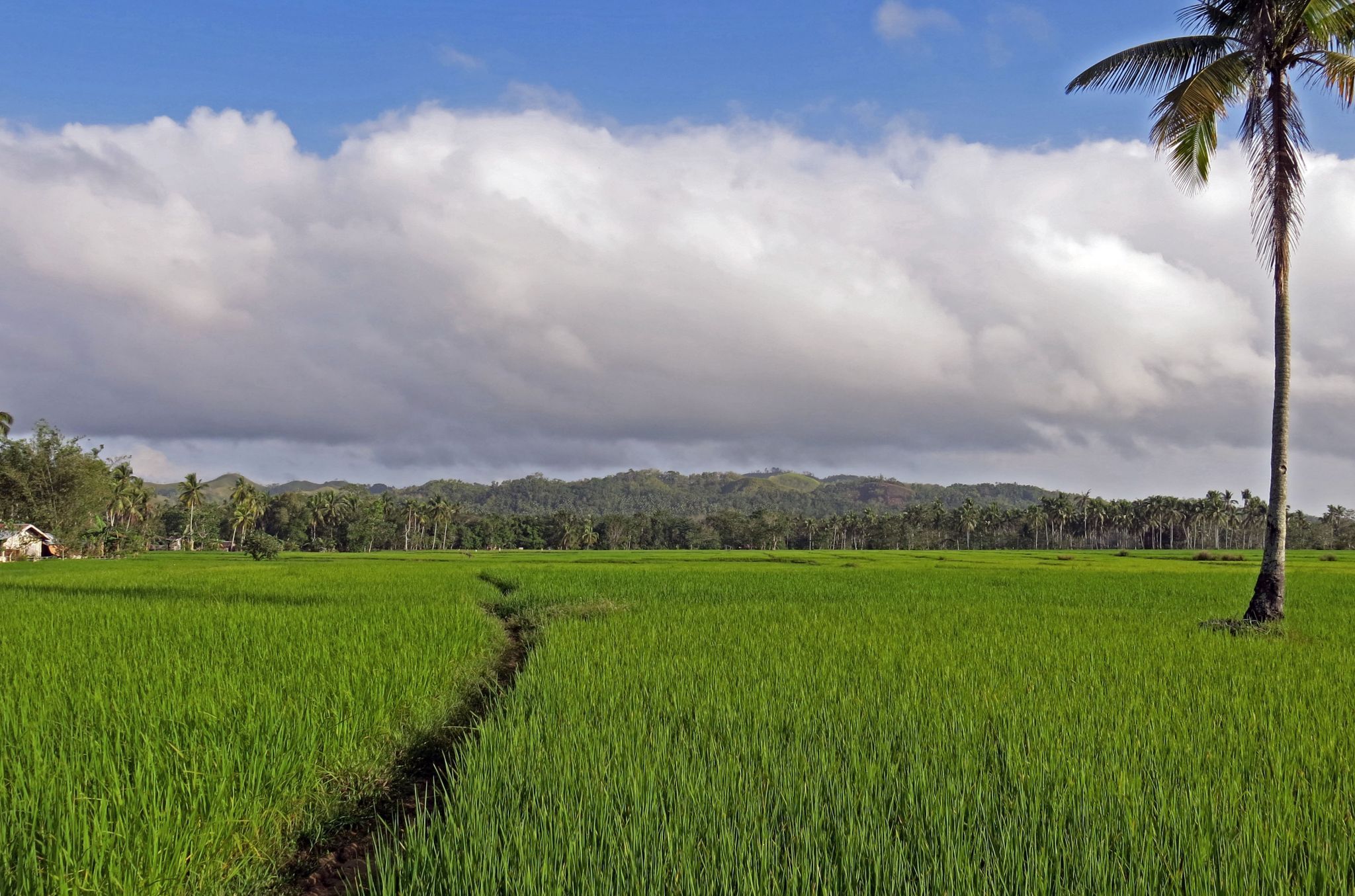Tabonuk near Dagohoy, Philippines