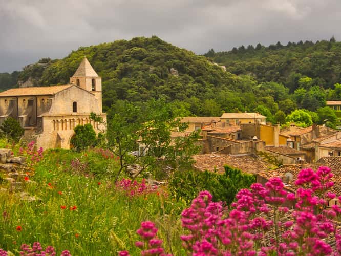 The Lavender Fields of Saignon