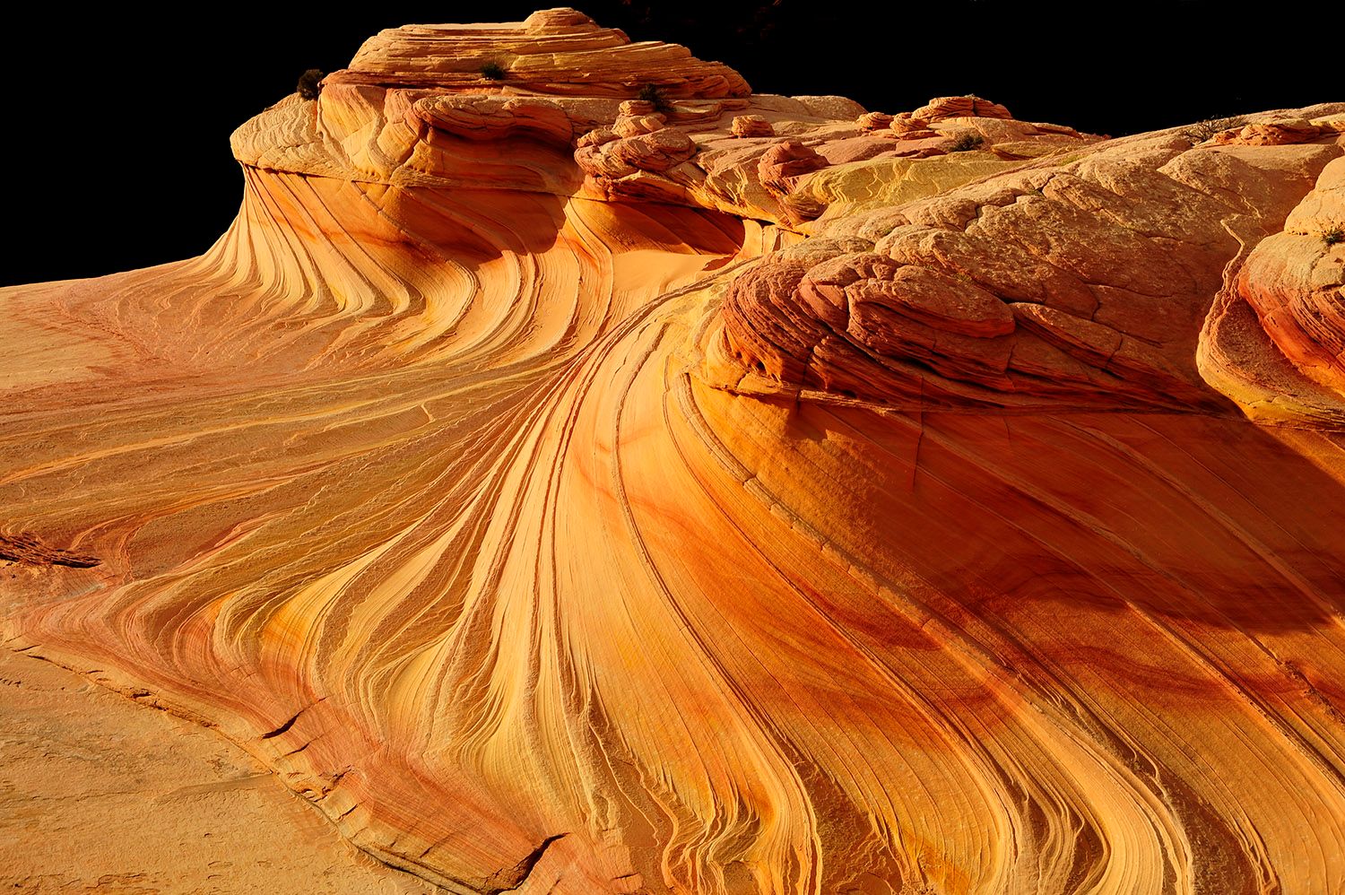 The second wave, USA