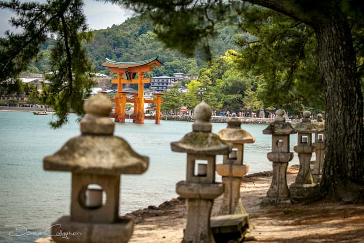 The Torii gate  Miyajima