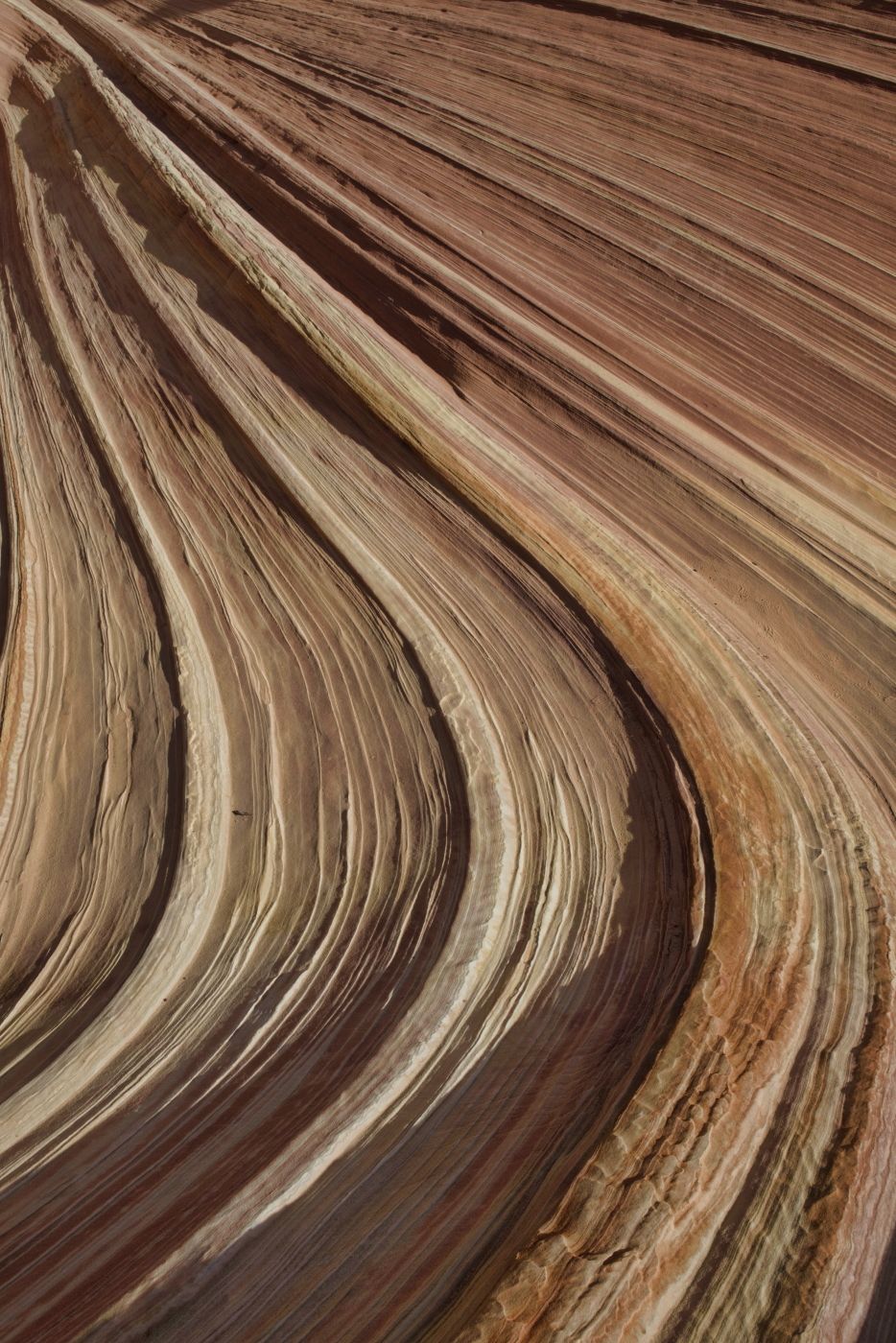 The Wave, USA