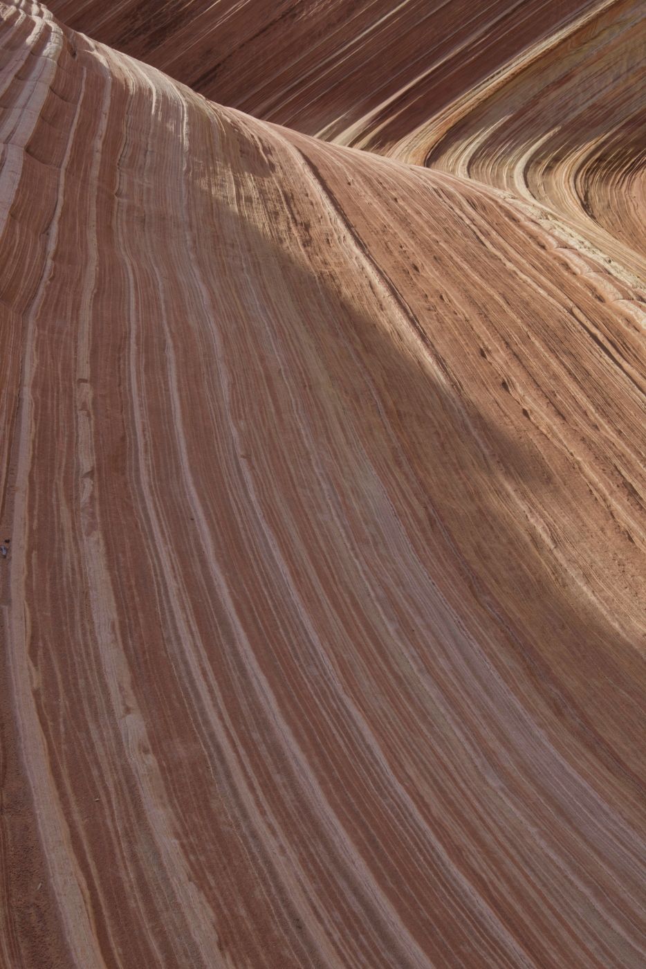 The Wave, USA