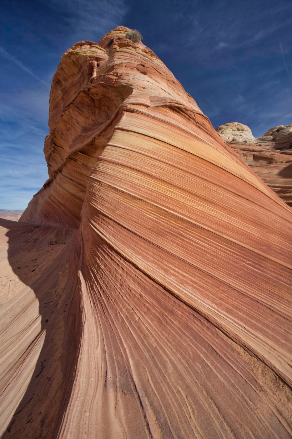 The Wave, USA