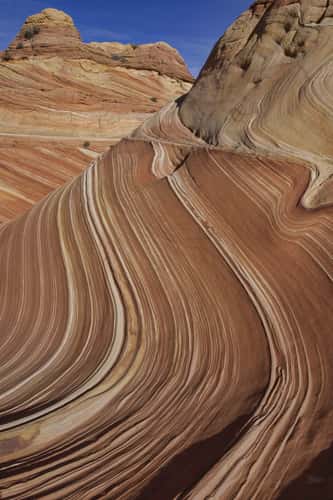 The Wave