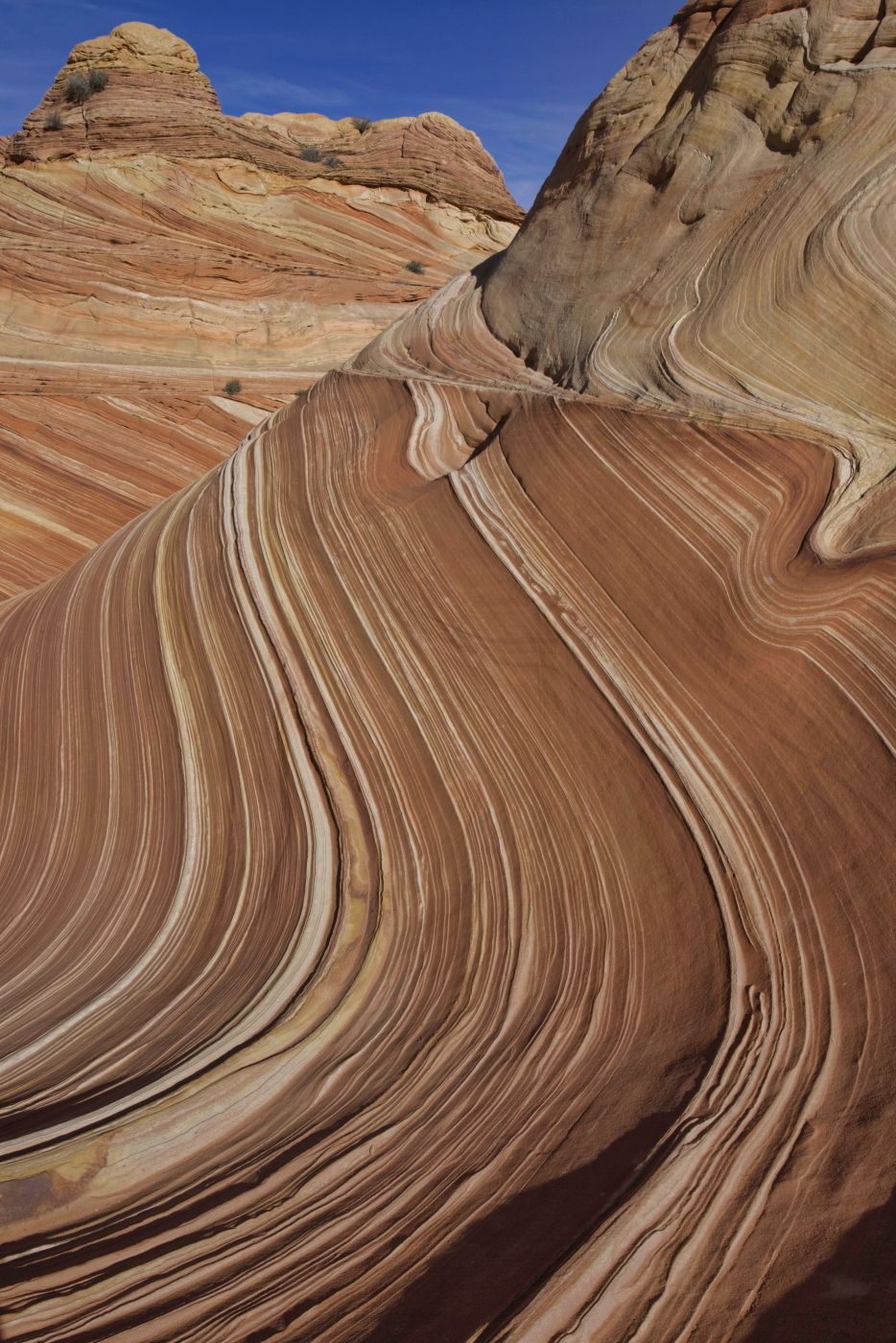 The Wave, USA