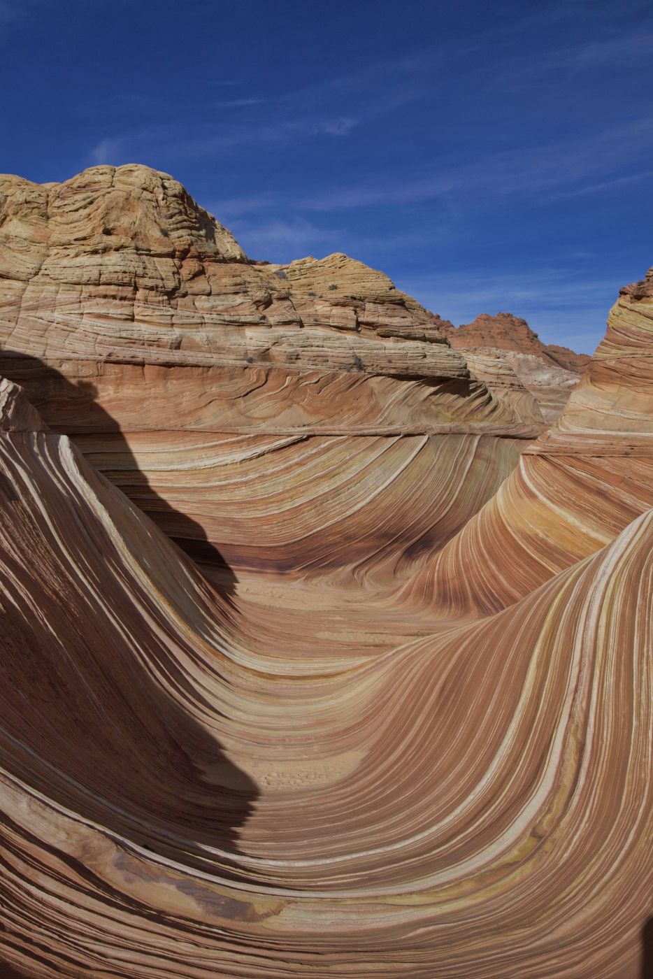 The Wave, USA