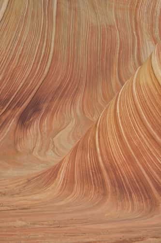 The Wave