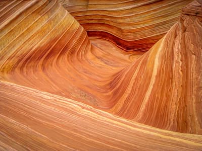 The Wave