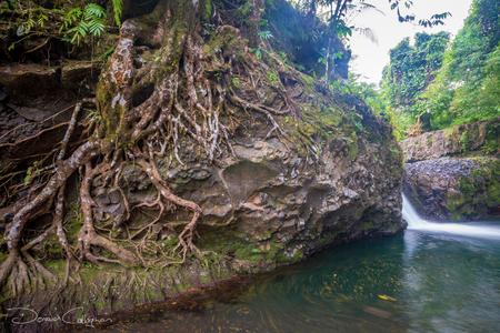 Togitogiga Waterfall & Tree root Samoa