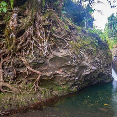 Togitogiga Waterfall & Tree root Samoa, Samoa