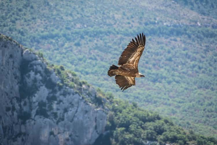 Verdon Gorge