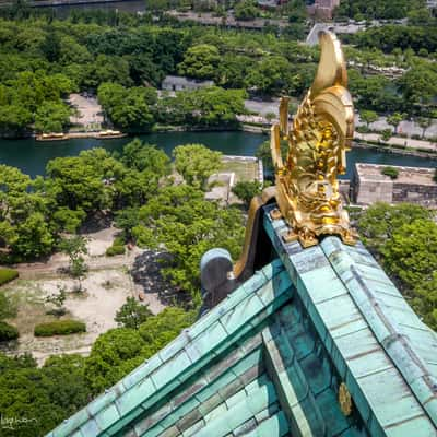 View from the top of Osaka Castle, Japan