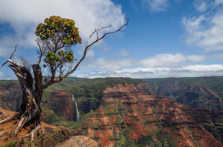 Waimea Canyon, Kauai, Hawaii
