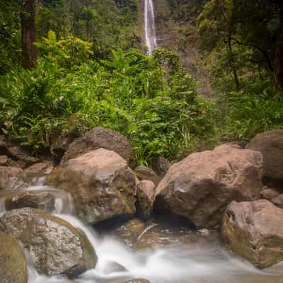Waimoku Falls on the Pipiwai Trail Hana Maui Hawaii, USA