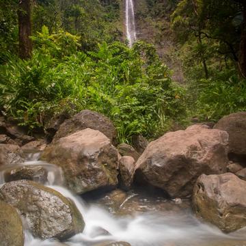 Waimoku Falls on the Pipiwai Trail Hana Maui Hawaii, USA